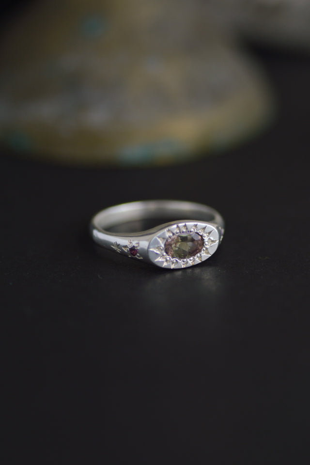 Penny Watermelon Tourmaline Silver Signet RIng